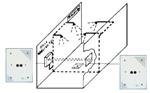 MARE 1F INCASSO - Trasmettitore raggi invisibili (COD. 55012002I)